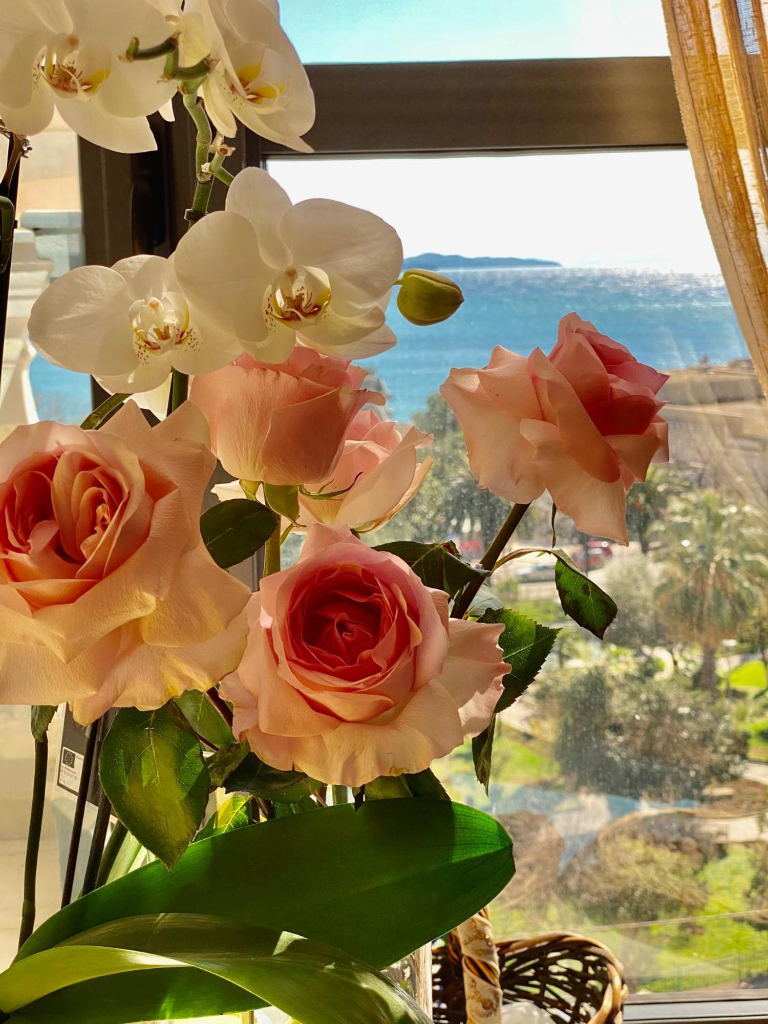 Amarilis Luxury Apartments Saranda Kültér fotó